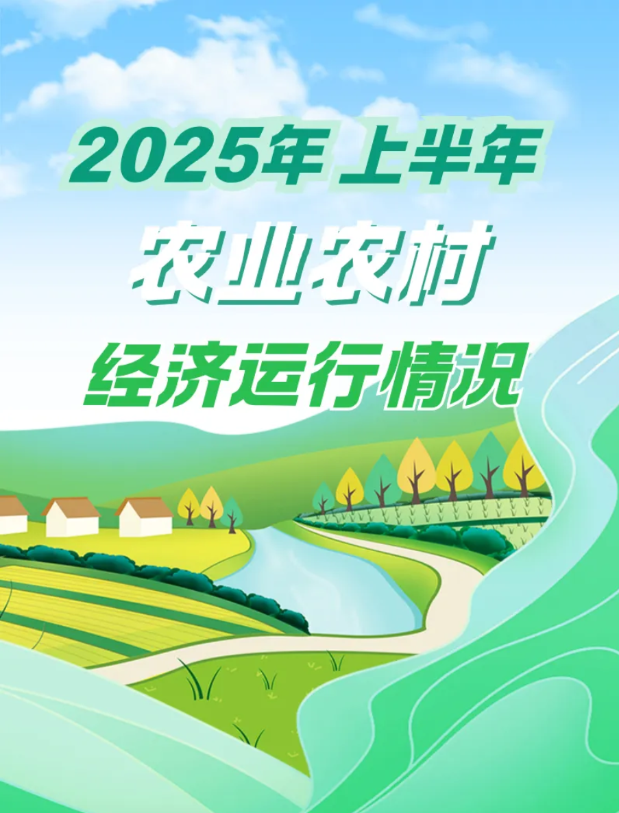 一图速览！这份农业农村“半年报”和你有关​