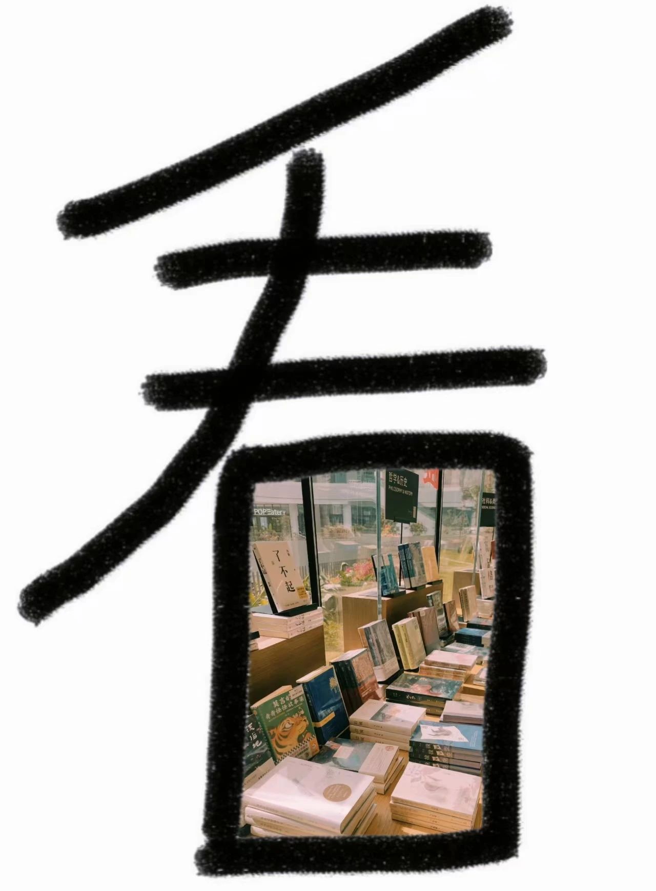 当三亚CBD遇上摄影“花鸟字”~