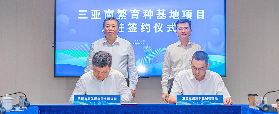 <CMSPRO_DOCUMENT FIELD='title'> 标题 </CMSPRO_DOCUMENT>