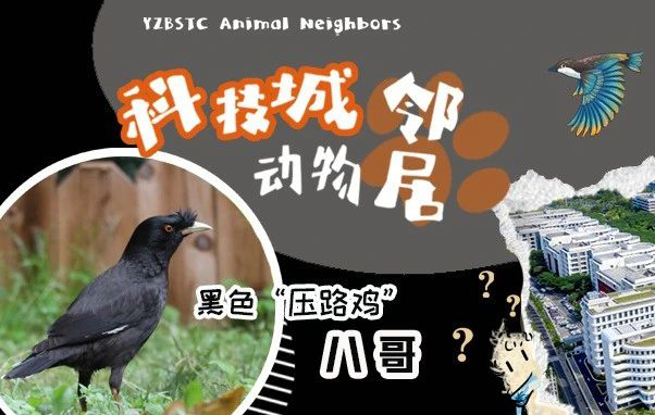 <CMSPRO_DOCUMENT FIELD='title'> 标题 </CMSPRO_DOCUMENT>