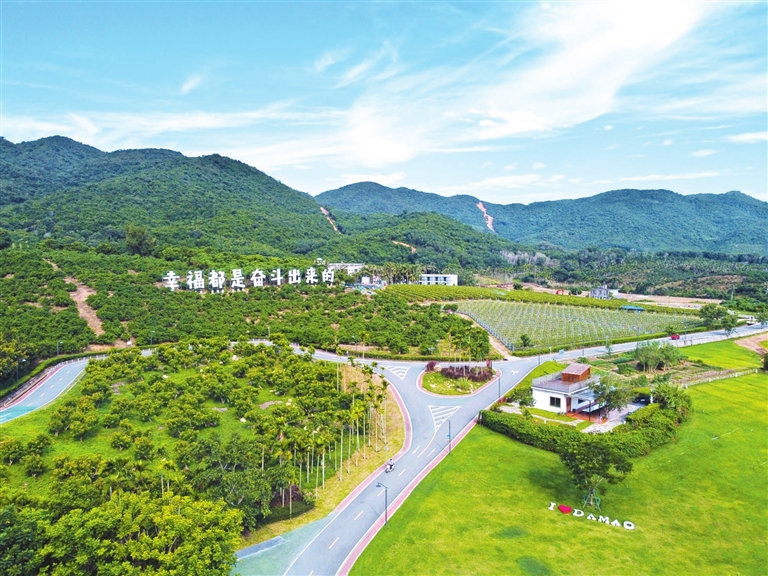 大茅骑行绿道让乡村变“香村”