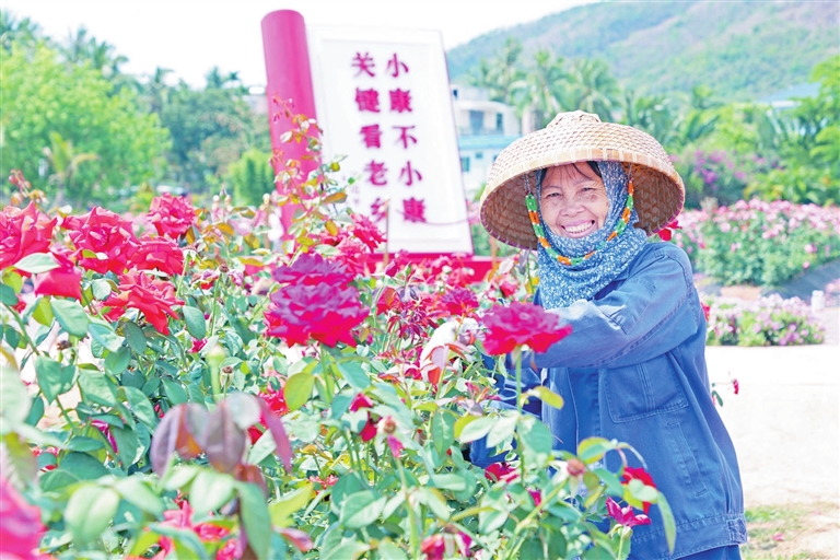 三亚农旅融合打造乡村发展“风向标”