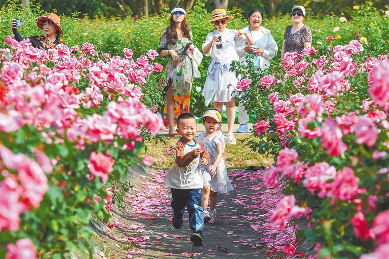 三亚市吉阳区：博后十年