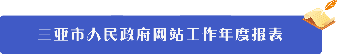 三亚市人民政府网站工作年度报表