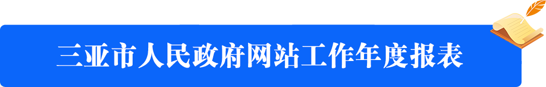 三亚市人民政府网站工作年度报表