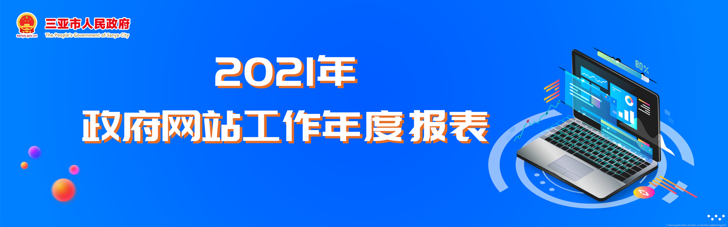 2021三亚市人民政府网站工作年度报表