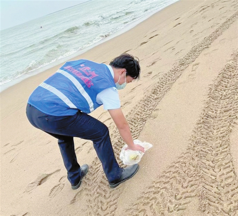 清理垃圾保护海滩“蓝马甲”守护海岸线