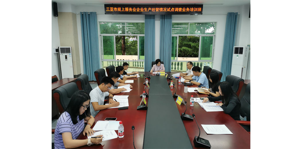 三亚局举办规上服务业企业生产经营情况试点调查业务培训班